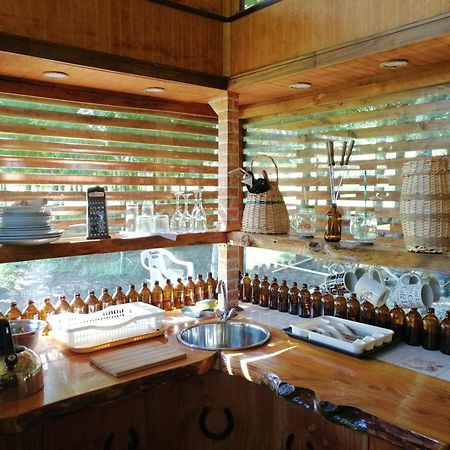 Brisas Del Llaima Villa Melipeuco Dış mekan fotoğraf